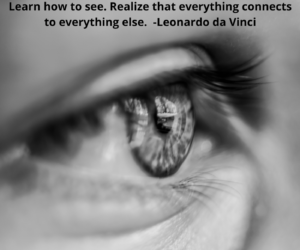 da Vinci Quote
